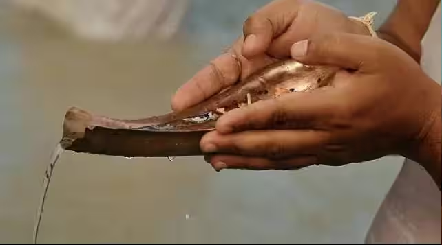 Pitru tarpan